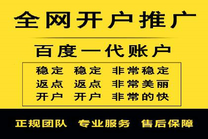 百度竞价推广案例：品牌崛起之路